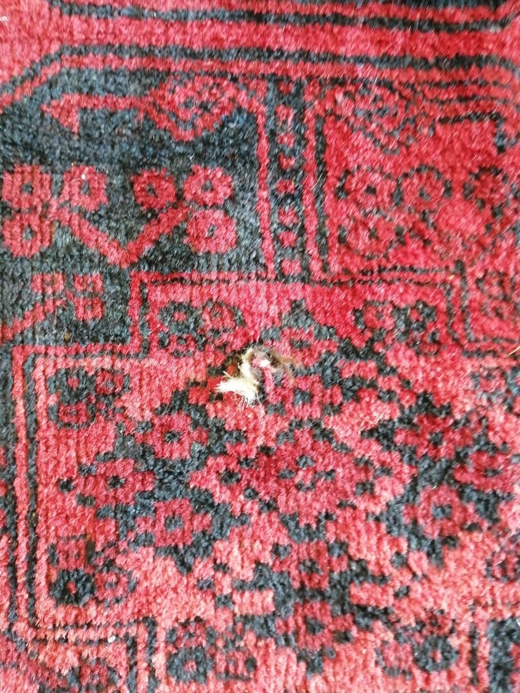 An Afghan red ground carpet (a.f.), 370 x 278cm
